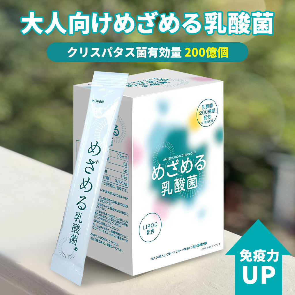 大人向けめざめる乳酸菌