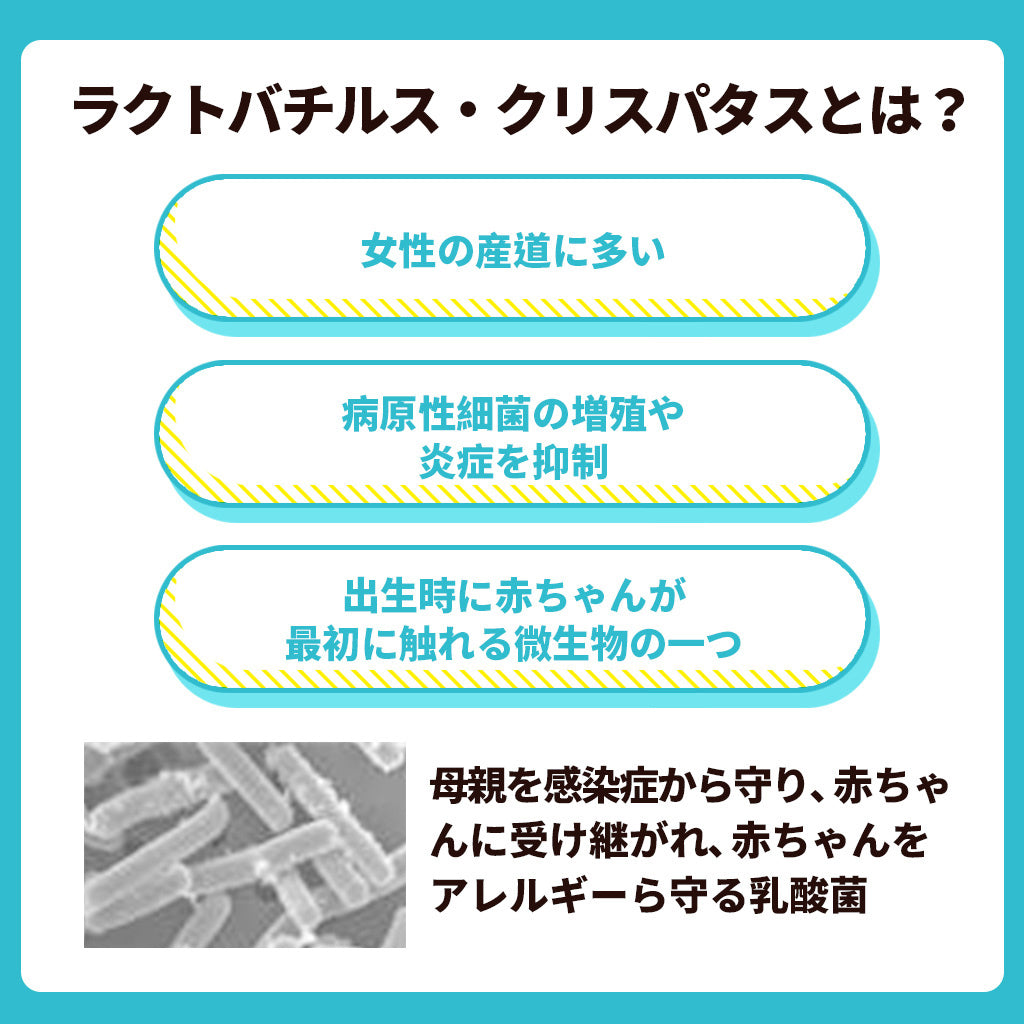 大人向けめざめる乳酸菌