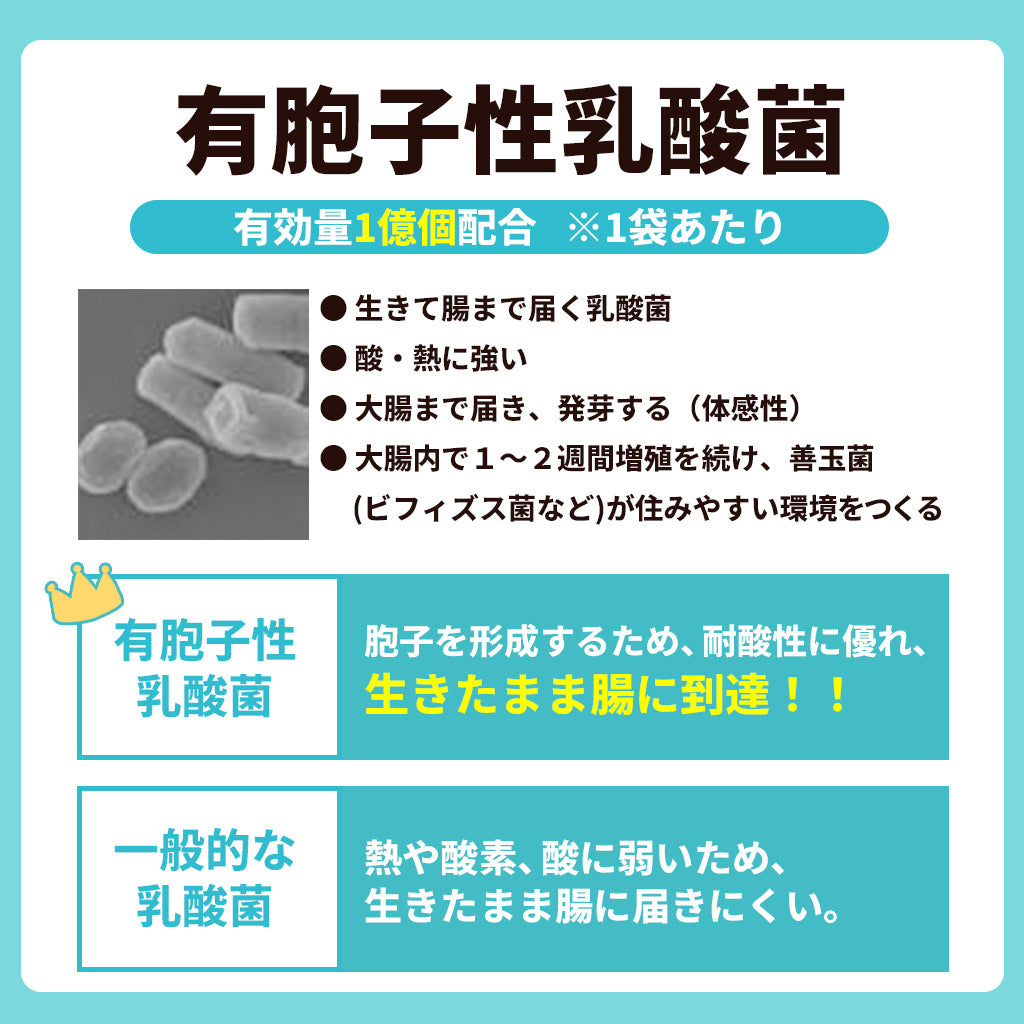 子供向けめざめる乳酸菌
