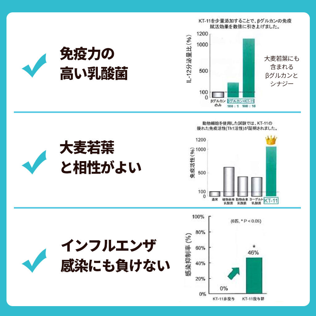 大人向けめざめる乳酸菌
