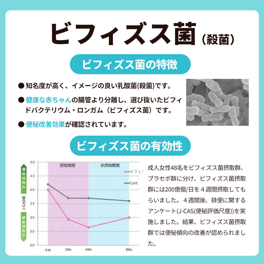 子供向けめざめる乳酸菌