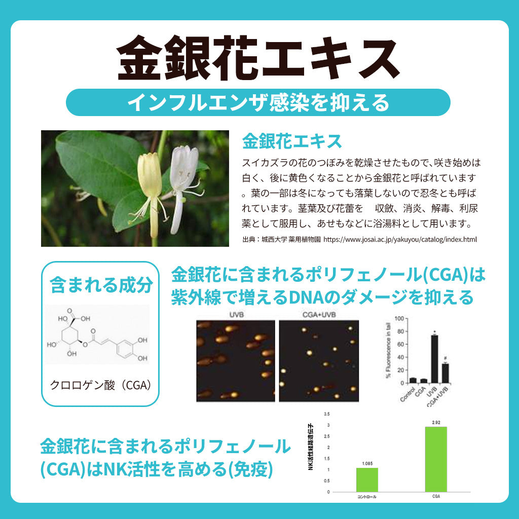 大人向けめざめる乳酸菌