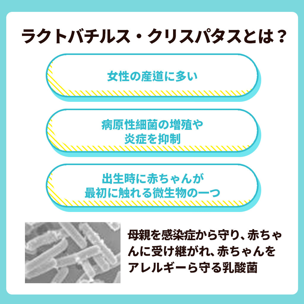 子供向けめざめる乳酸菌