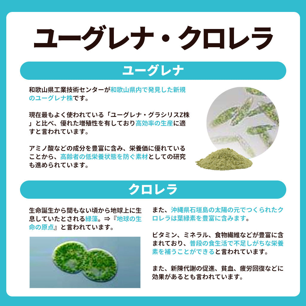 大人向けめざめる乳酸菌