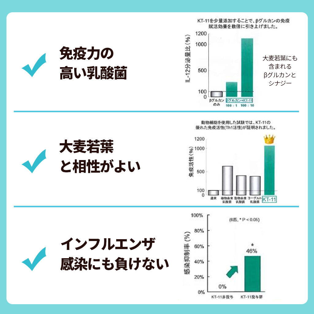 子供向けめざめる乳酸菌