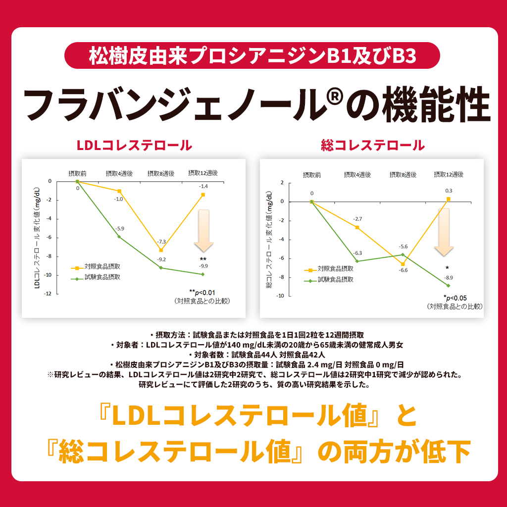 フランス海岸松抽出物