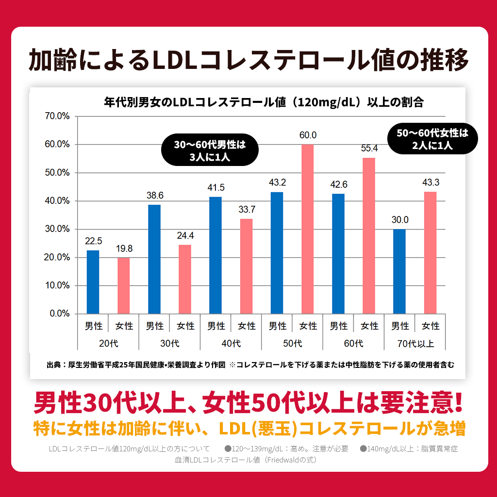 フランス海岸松抽出物