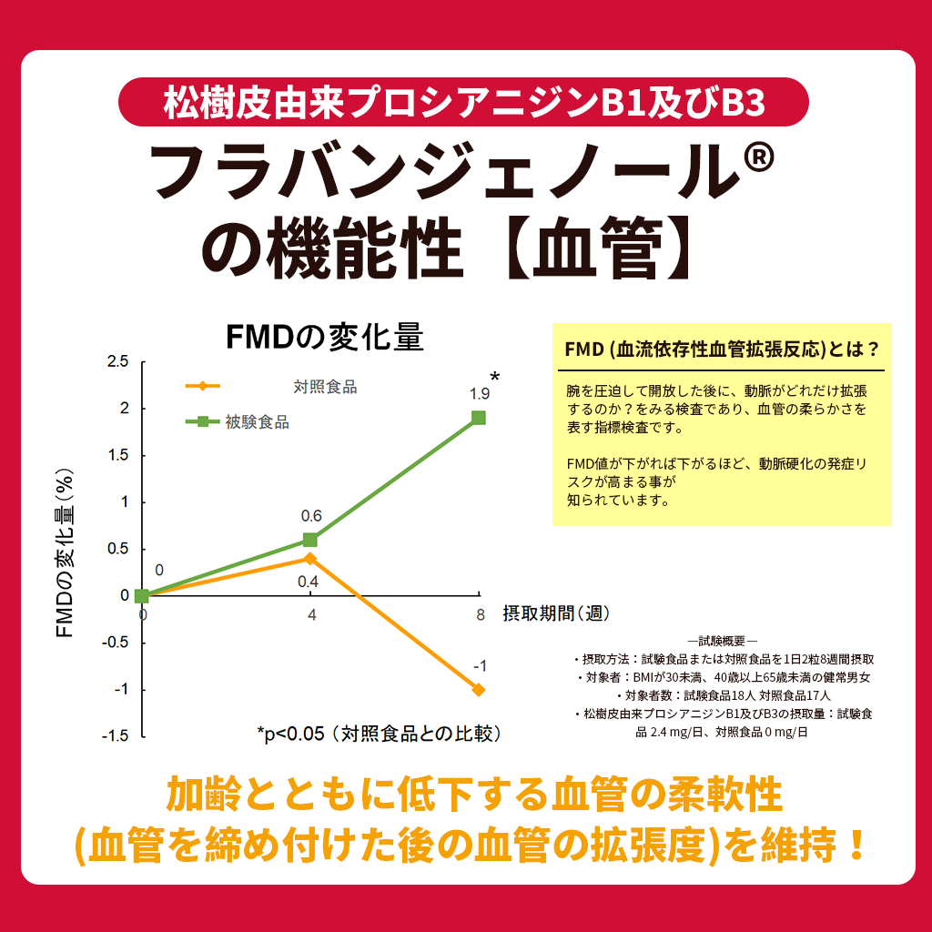 フランス海岸松抽出物