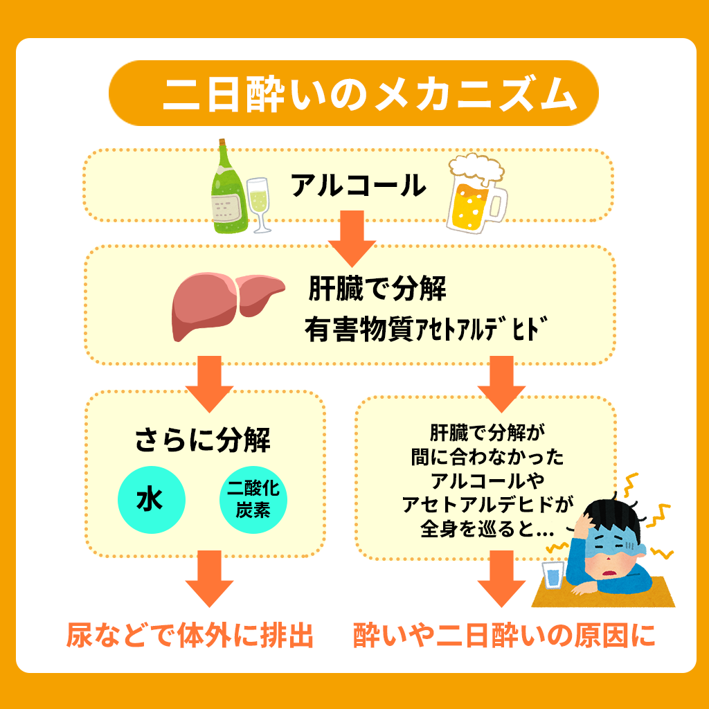 肝臓エキス抽出物