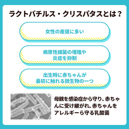 大人向けめざめる乳酸菌
