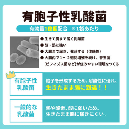 Mezameru Lactic Acid Bacteria for Children
