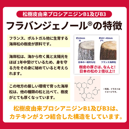 活力平衡生命支持补充剂 法国海岸松樹皮提取物